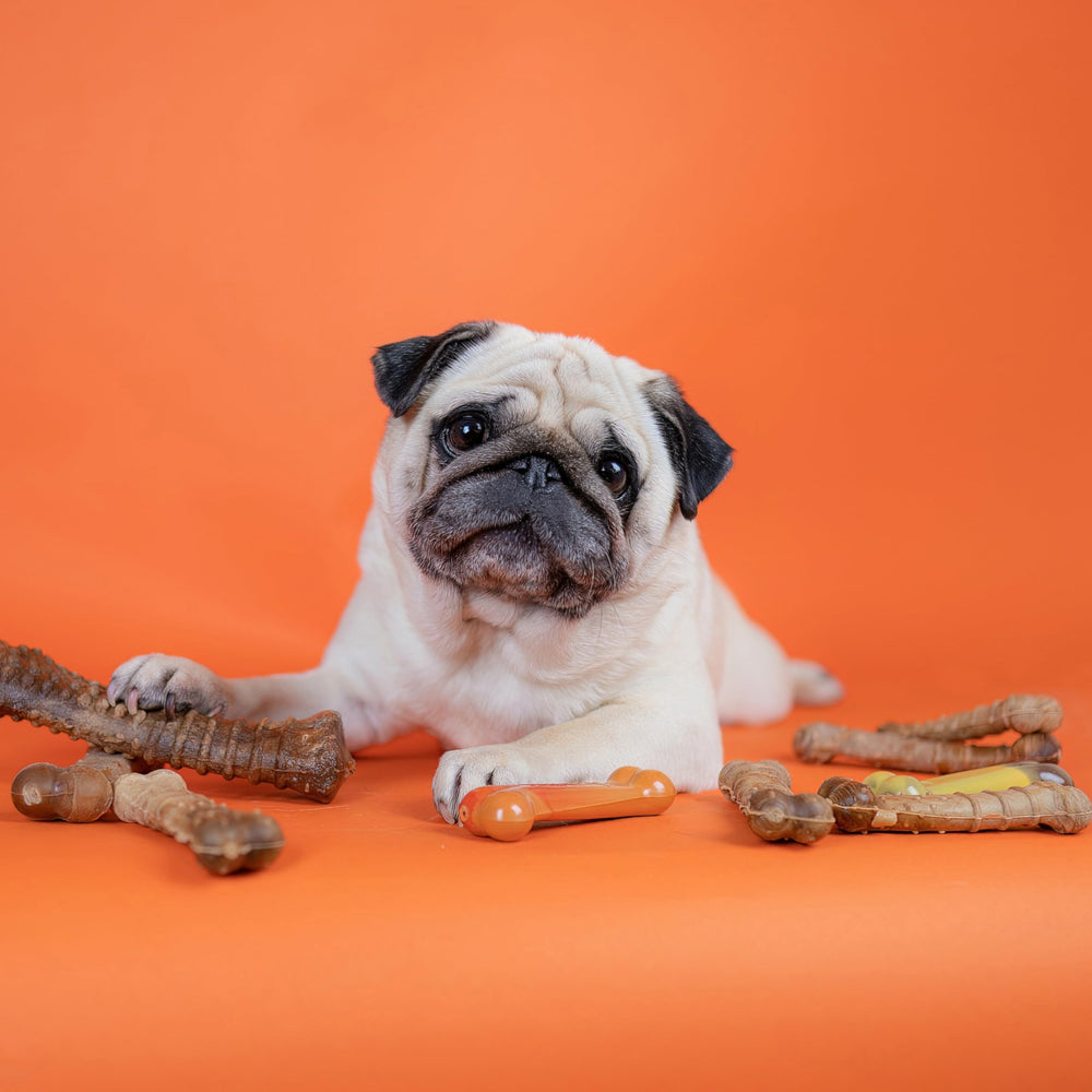 Nylabone Healthy Edibles muestra textura natural, estimulando la masticación segura.