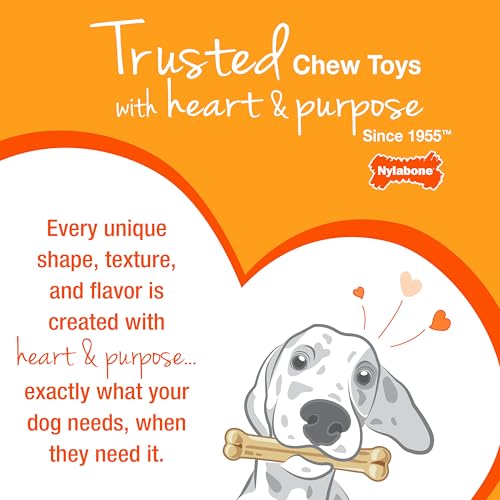 Nylabone Healthy Edibles, tres paquetes: cinco premios en total para variar el momento de recompensa.