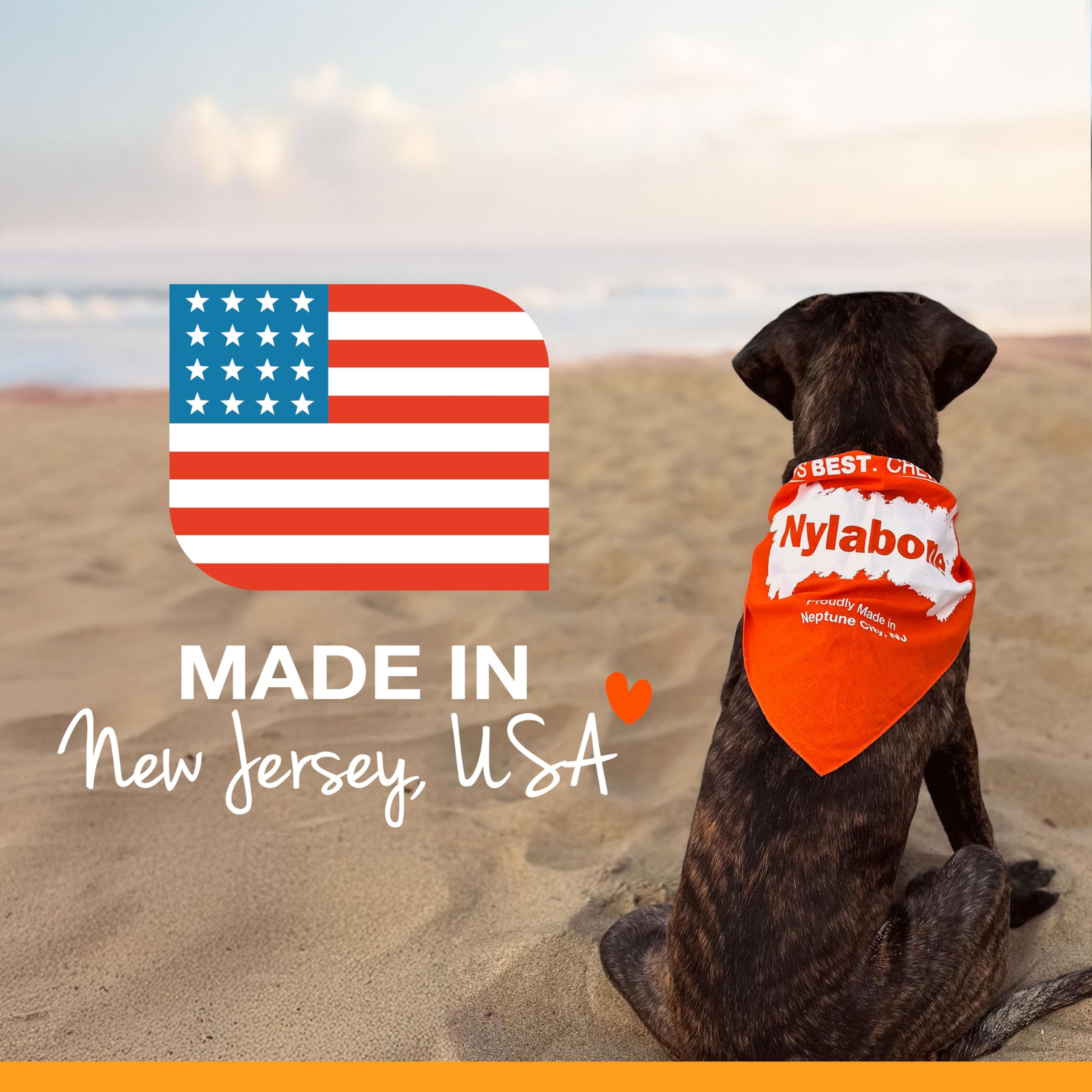 Nylabone hecho en Estados Unidos con calidad garantizada.