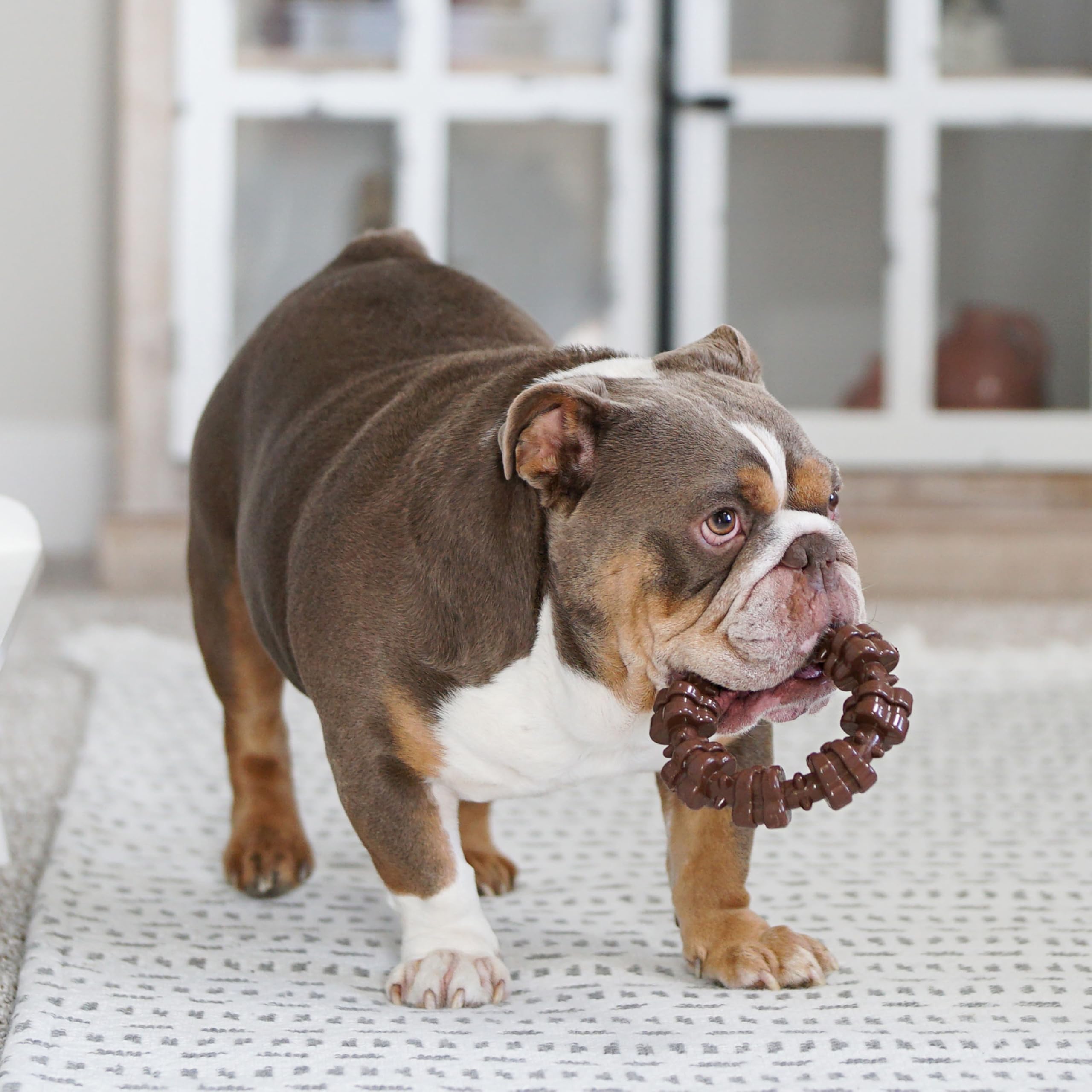 Nylabone Power Chew: hecho en Estados Unidos con materiales de calidad.