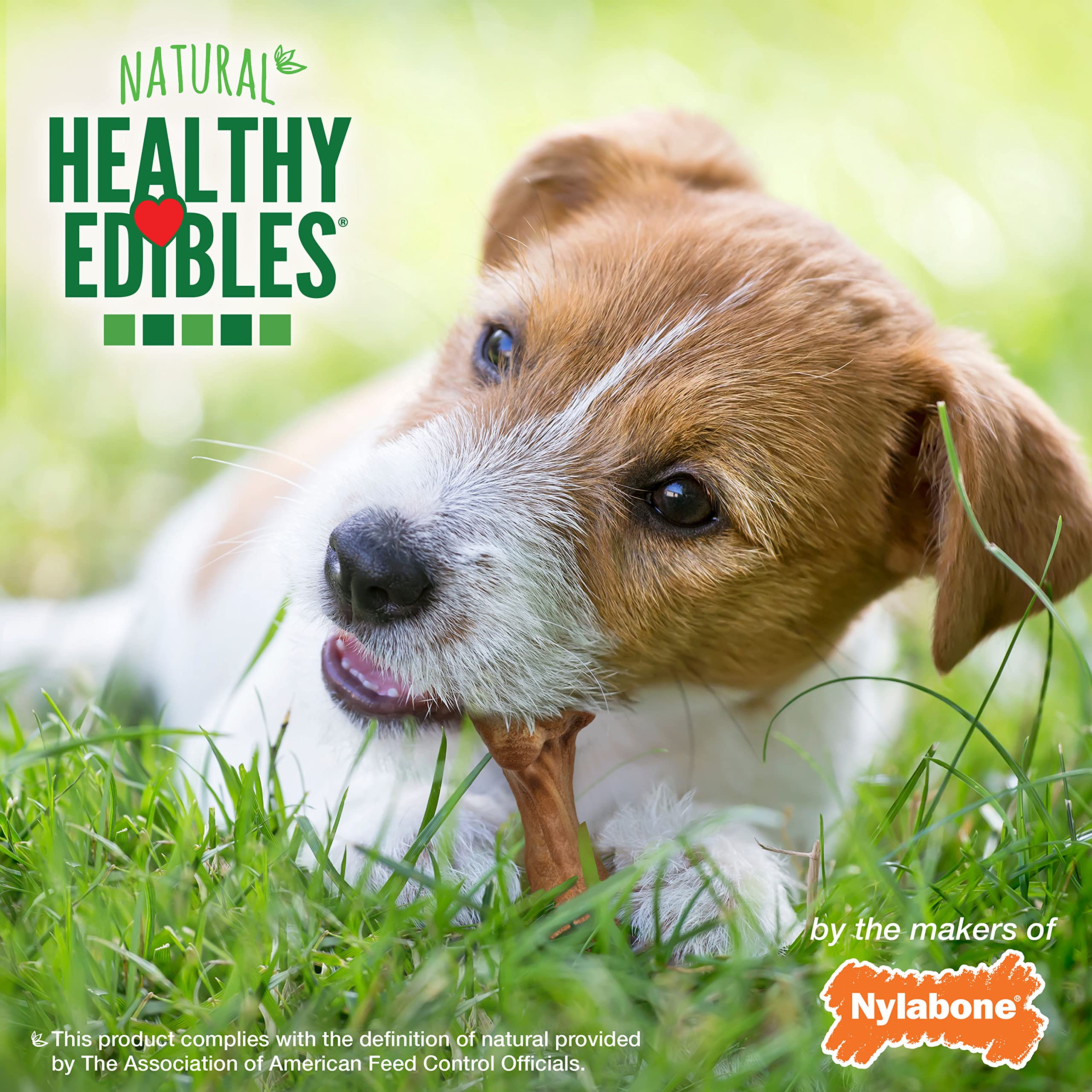 Nylabone hueso caldo jamón, tamaño pequeño para perros pequeños.