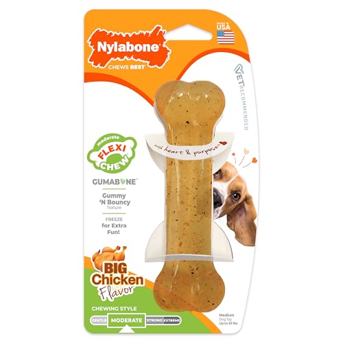 Nylabone Hueso Flexi Uso Diario para perros medianos.