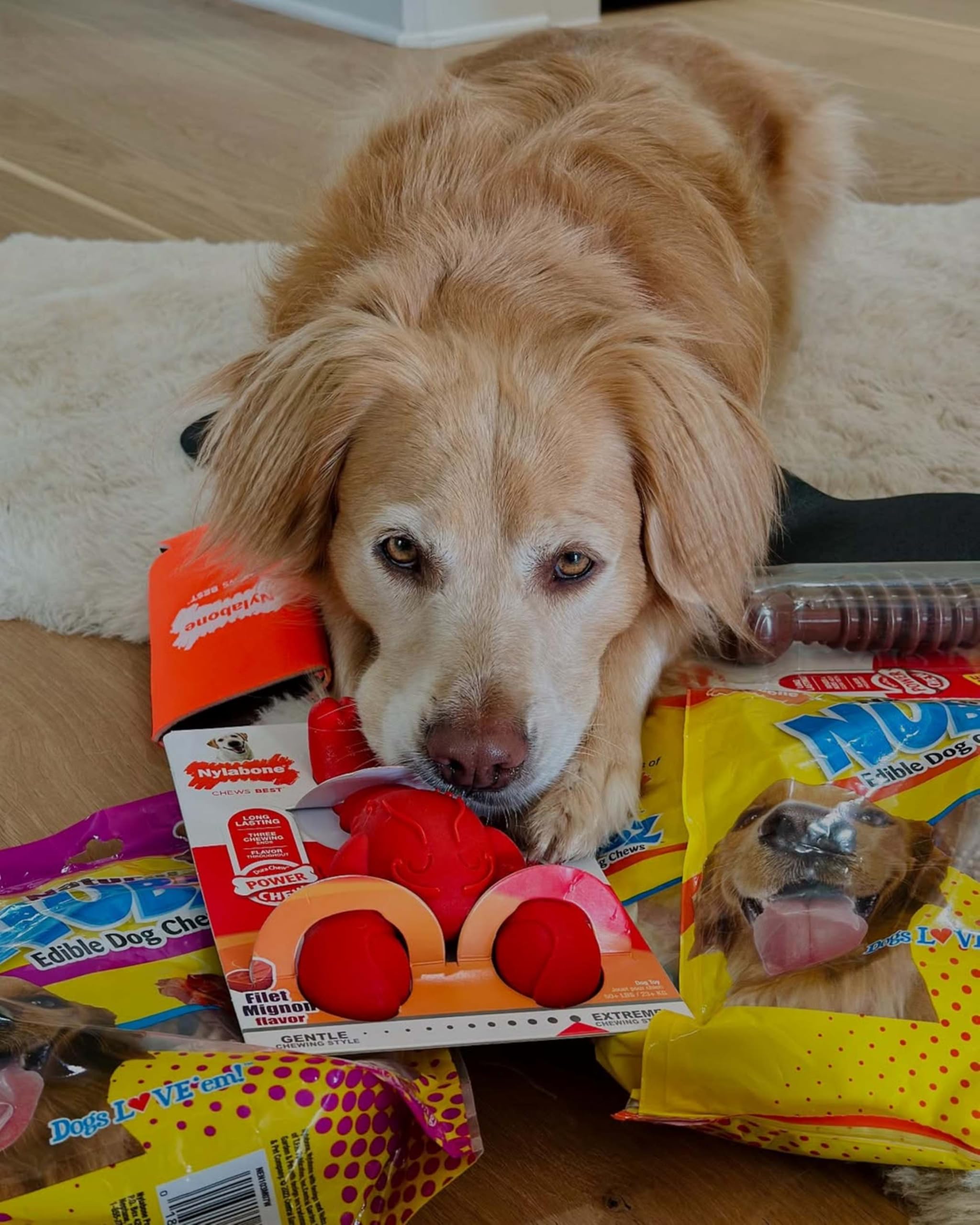 Nylabone mezcla de sabores brinda sabor duradero durante el juego