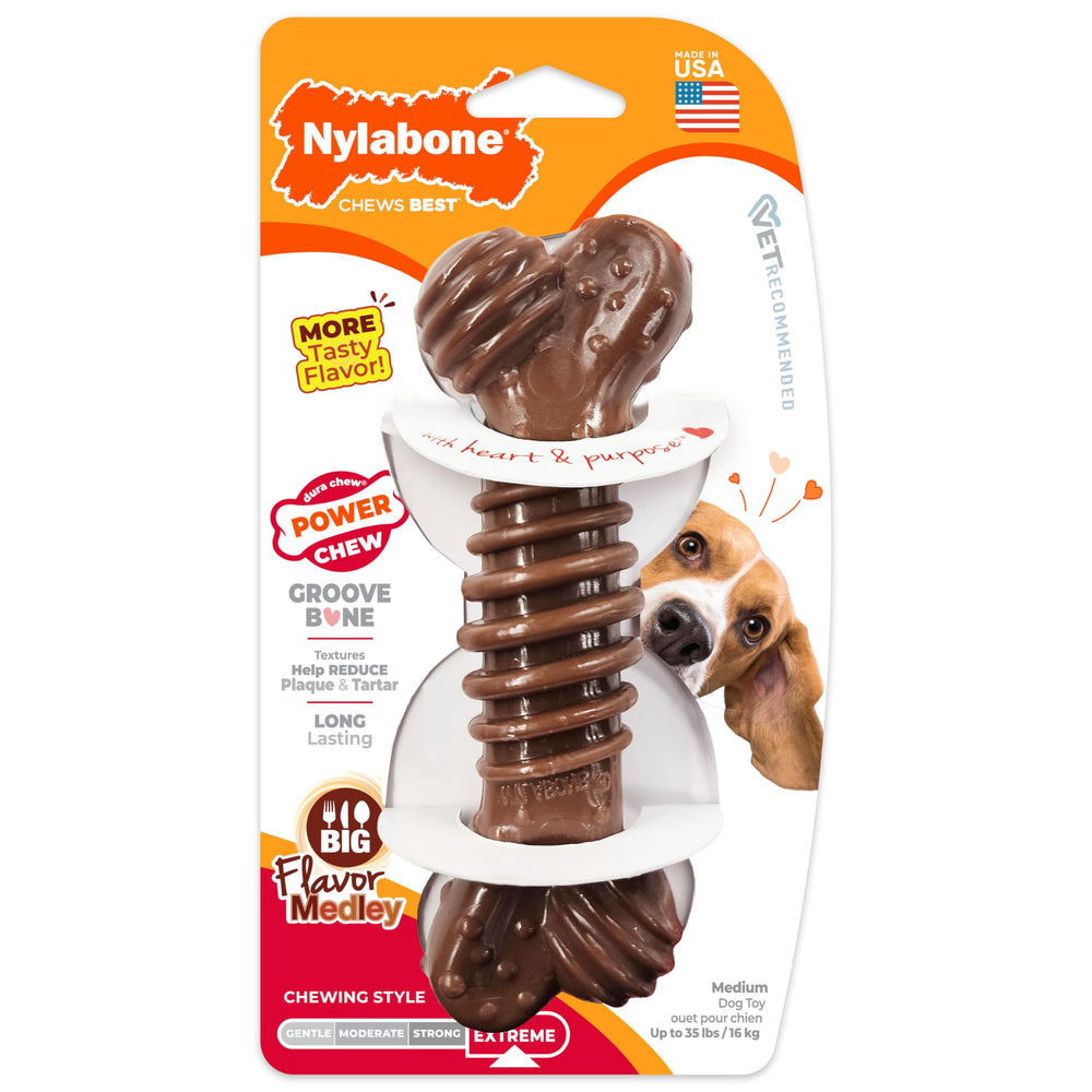 Nylabone Juguete dental resistente ante mordidas intensas.