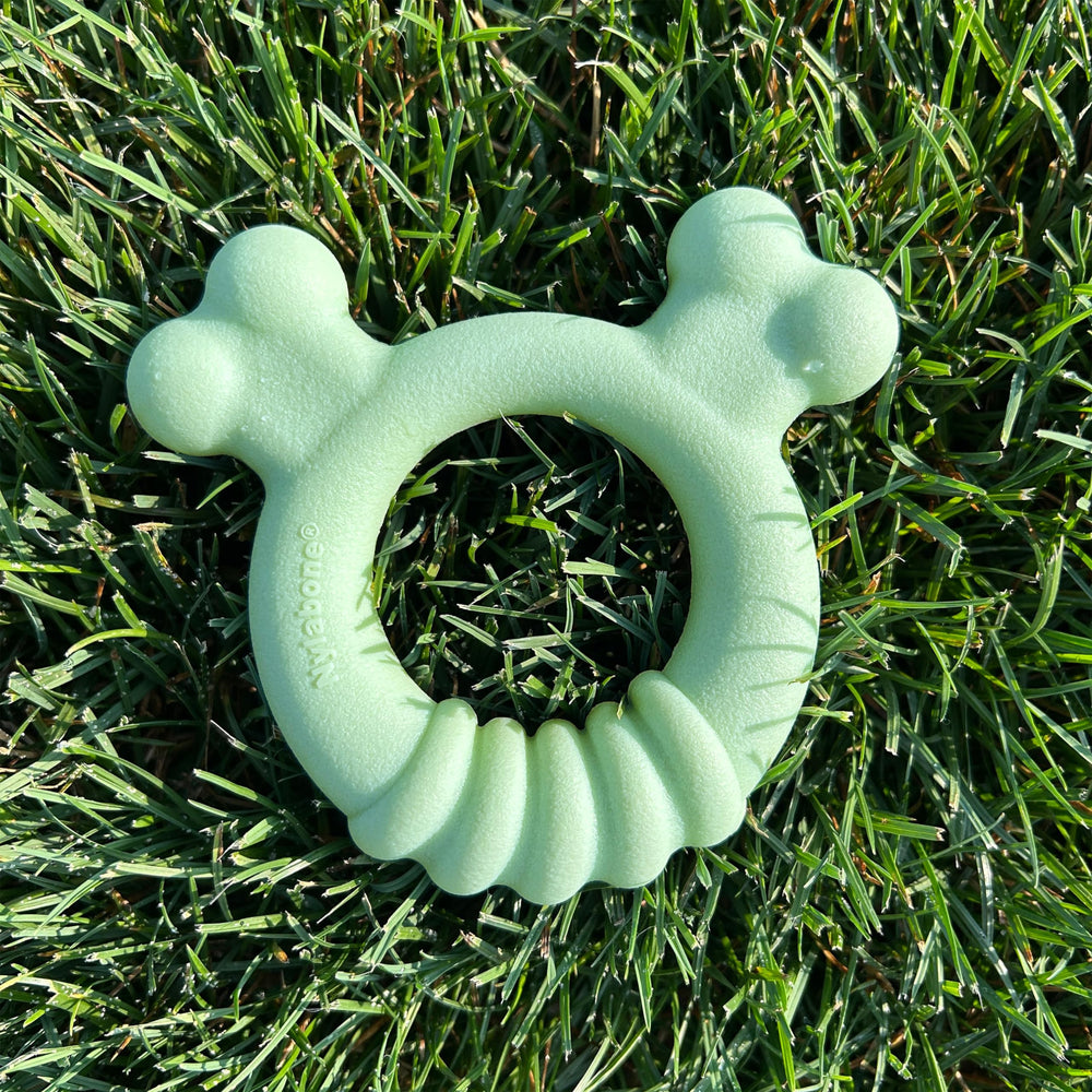 Nylabone juguete masticable, entretiene al cachorro durante el juego.