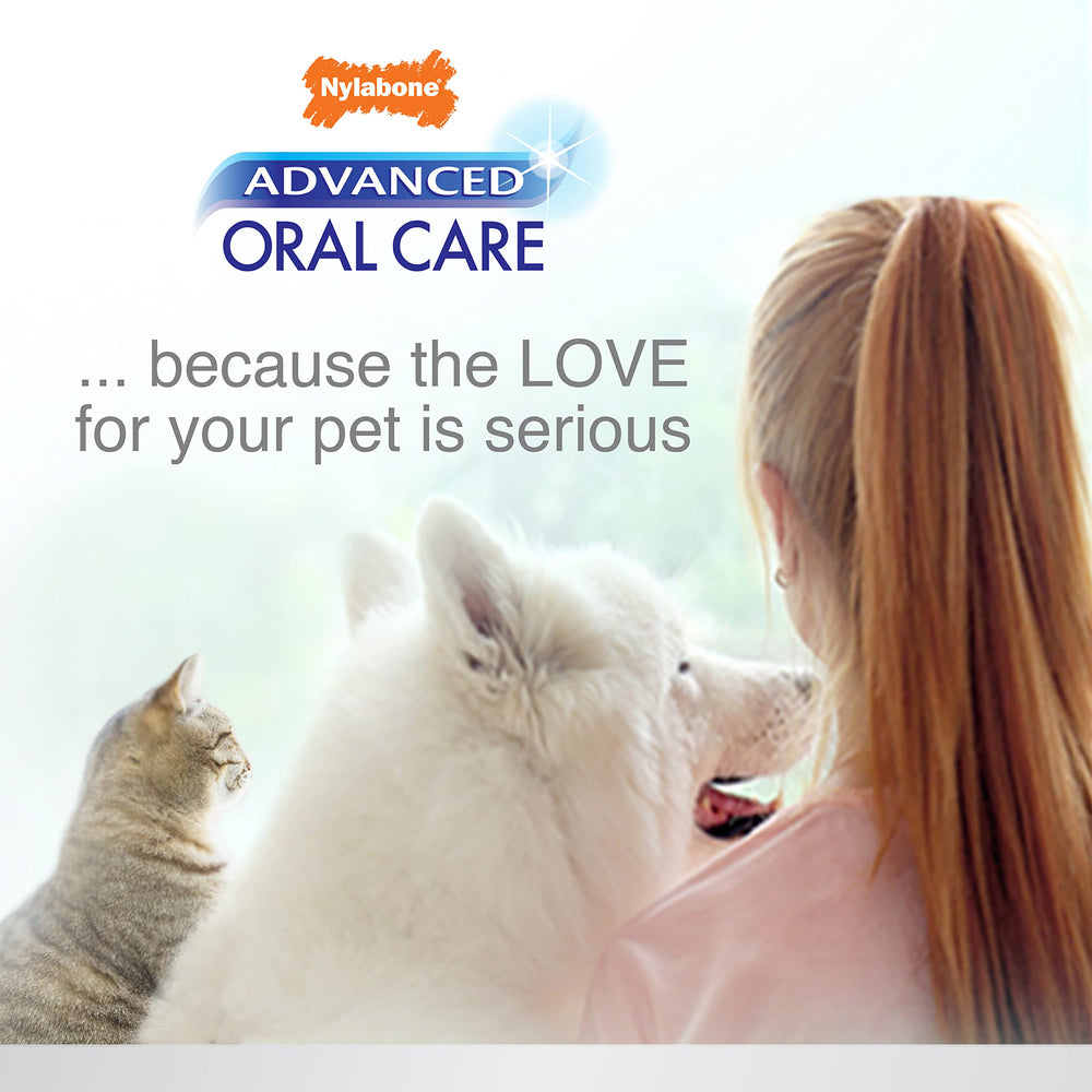 Nylabone kit dental completo para gatos, vista de conjunto