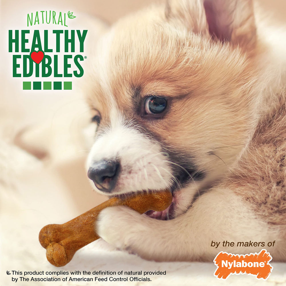 Nylabone con calcio y DHA para desarrollo.