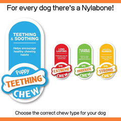 Mordedor dental Nylabone para cachorros pequeños con masaje de encías