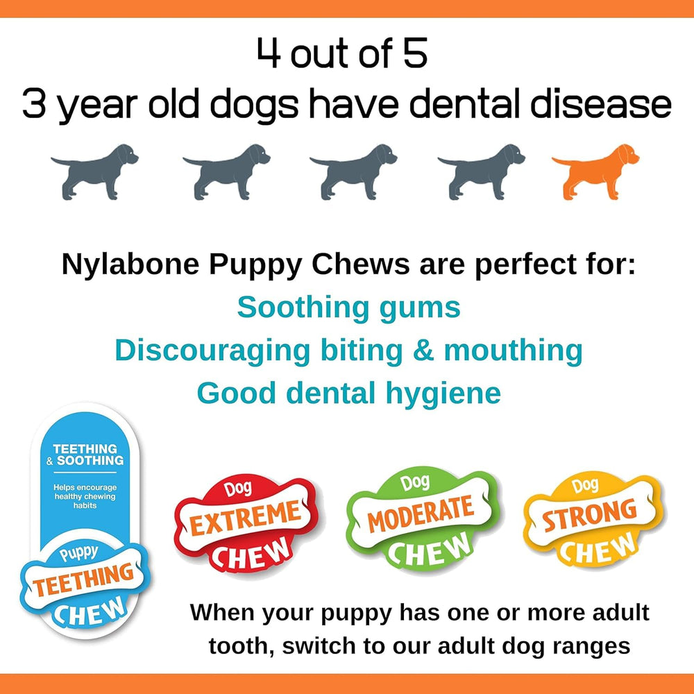 Juguete masticable Nylabone para uso diario en entrenamiento y juego
