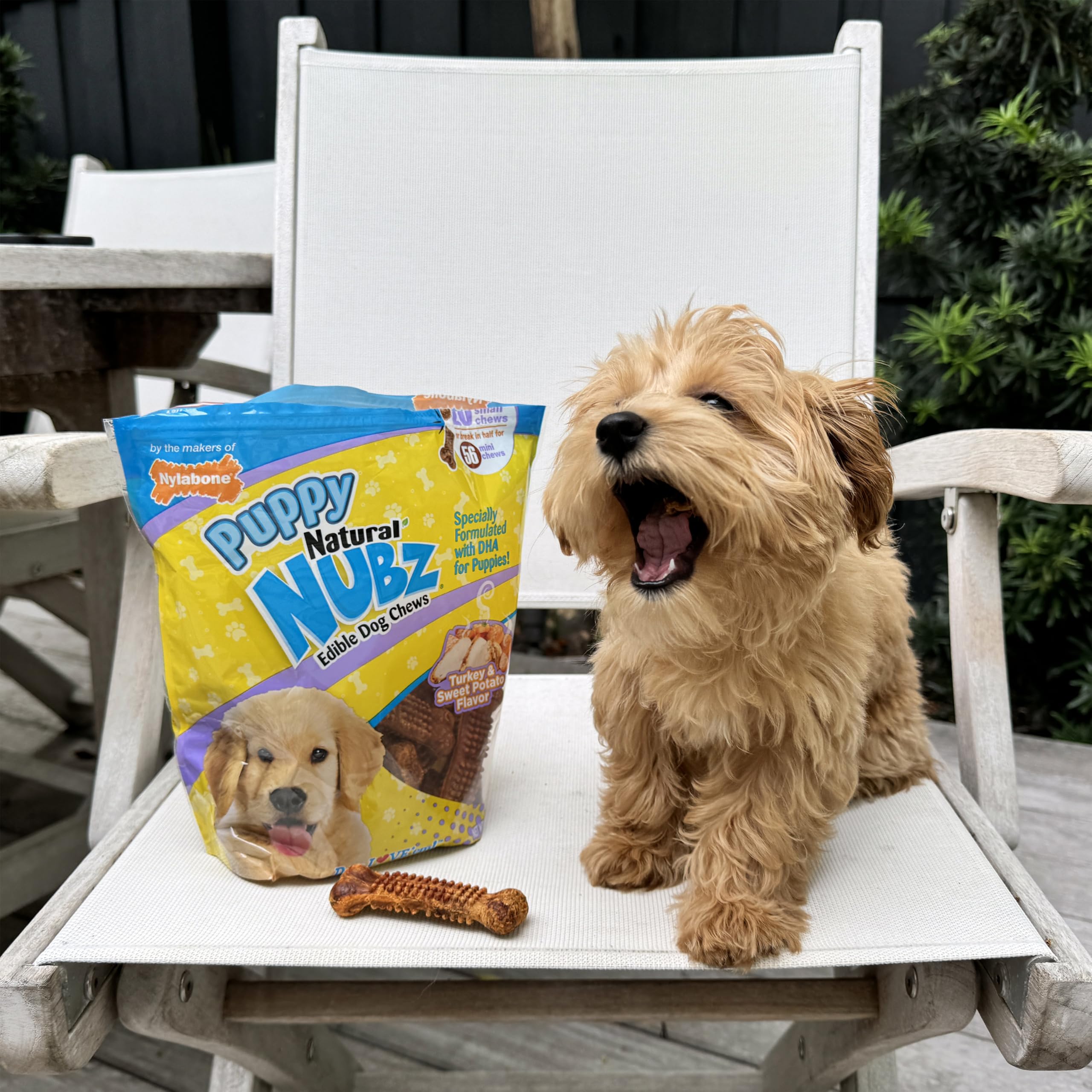 Nylabone Nubz con DHA Omega-3, apoya desarrollo cerebral y visual.