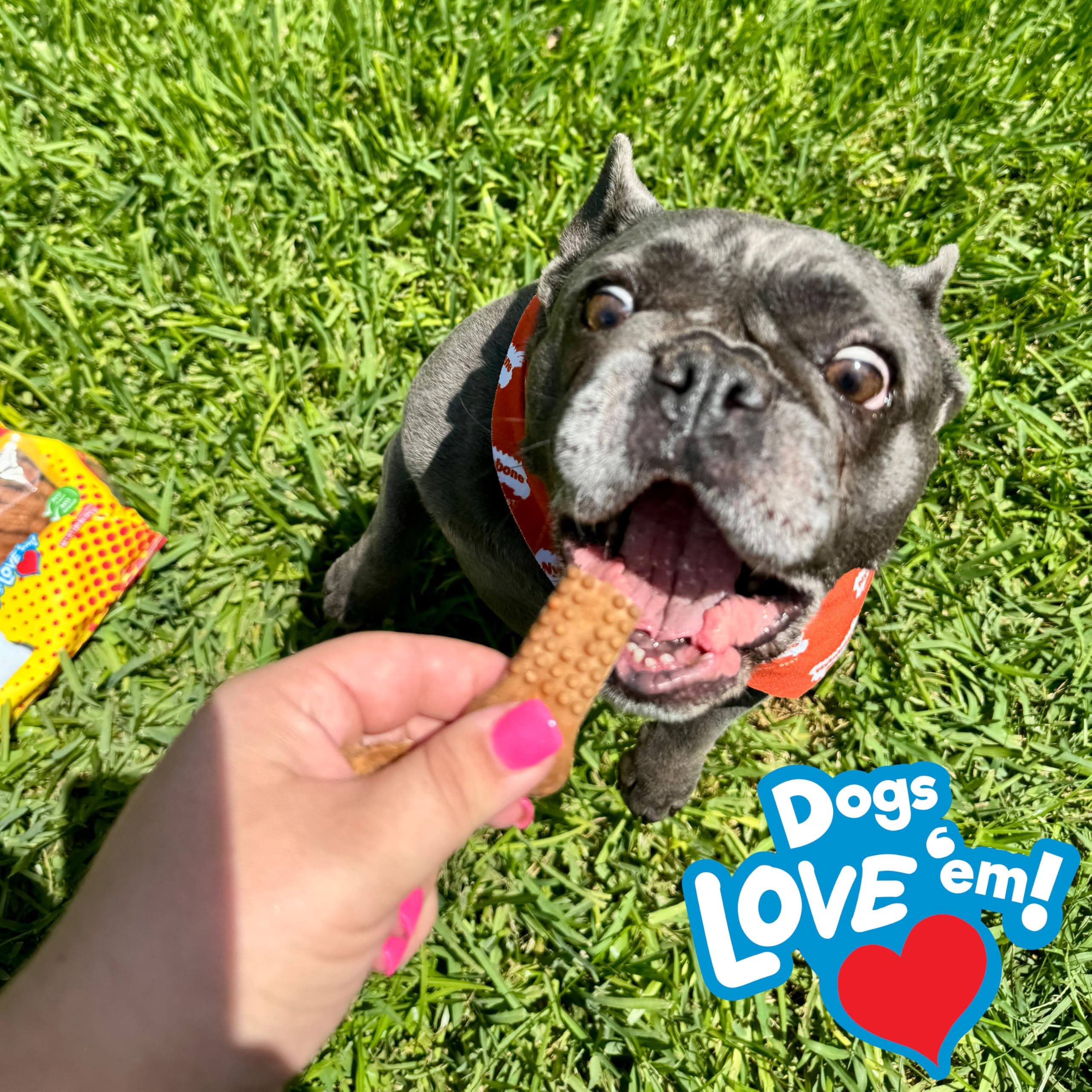 Nylabone Nubz masticables duraderos para perros activos.