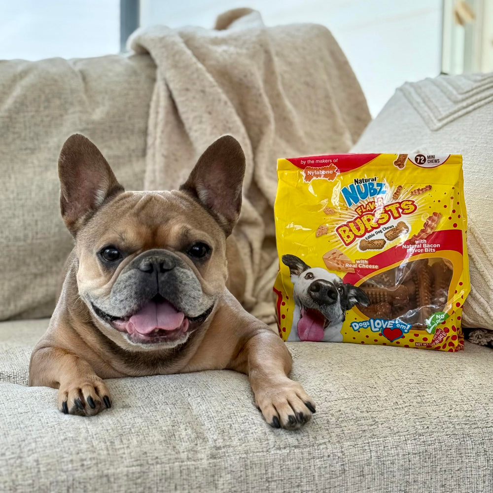 Textura masticable de Nubz Flavor Bursts para mantener ocupado al perro.