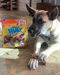 Nylabone Nubz, masticación duradera para perros grandes, aliento fresco.