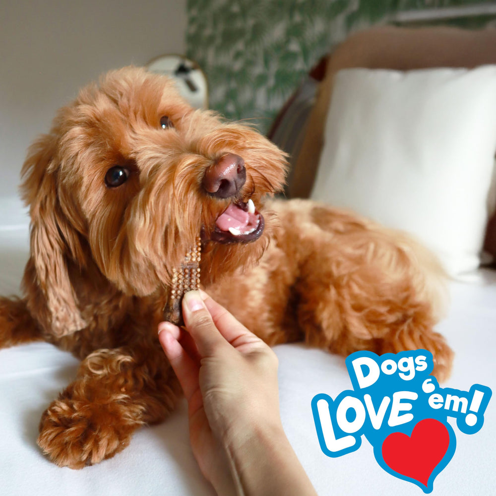 Nylabone Nubz fabricado en EE UU, calidad que perdura durante la masticación.