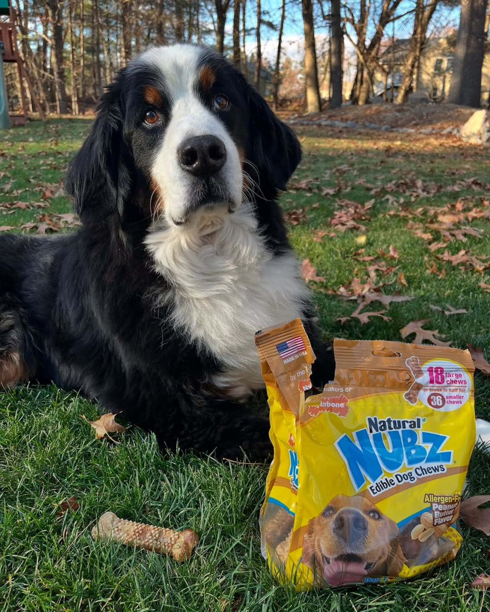 Tamaño grande para perros superiores a 30 lb, masticación sostenida.