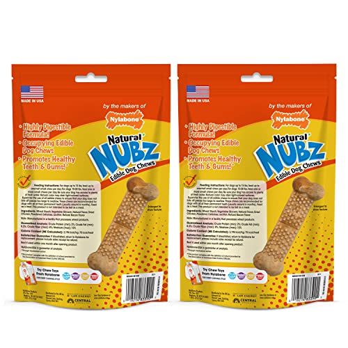 Nylabone Nubz uso diario para complementar el cuidado dental de tu perro.