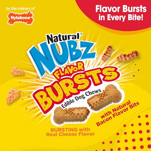 Nylabone Nubz para cachorros y perros pequeños, mordidas seguras y controladas.