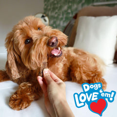 Nylabone Nubz textura dura ideal para morder y limpieza dental.