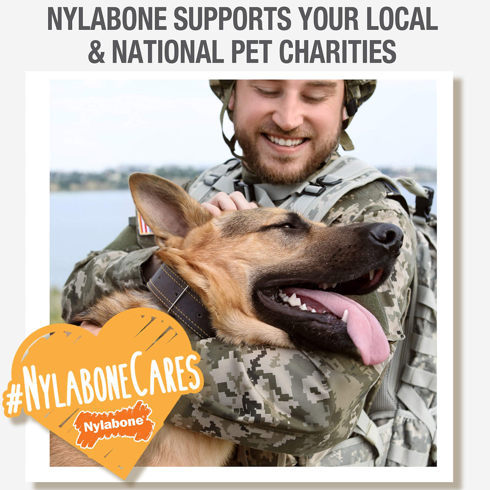 Nylabone Nubz Wild, beneficio de limpieza dental al morder suavemente