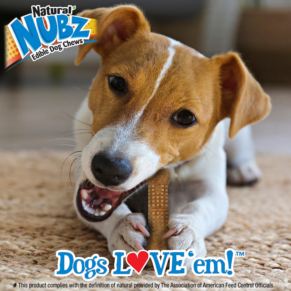 Nylabone Nubz Wild, ingredientes naturales sin conservantes artificiales para tu perro