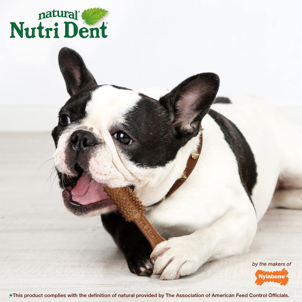 Nylabone Nutri Dent para perros de hasta 30 libras, tamaño medio