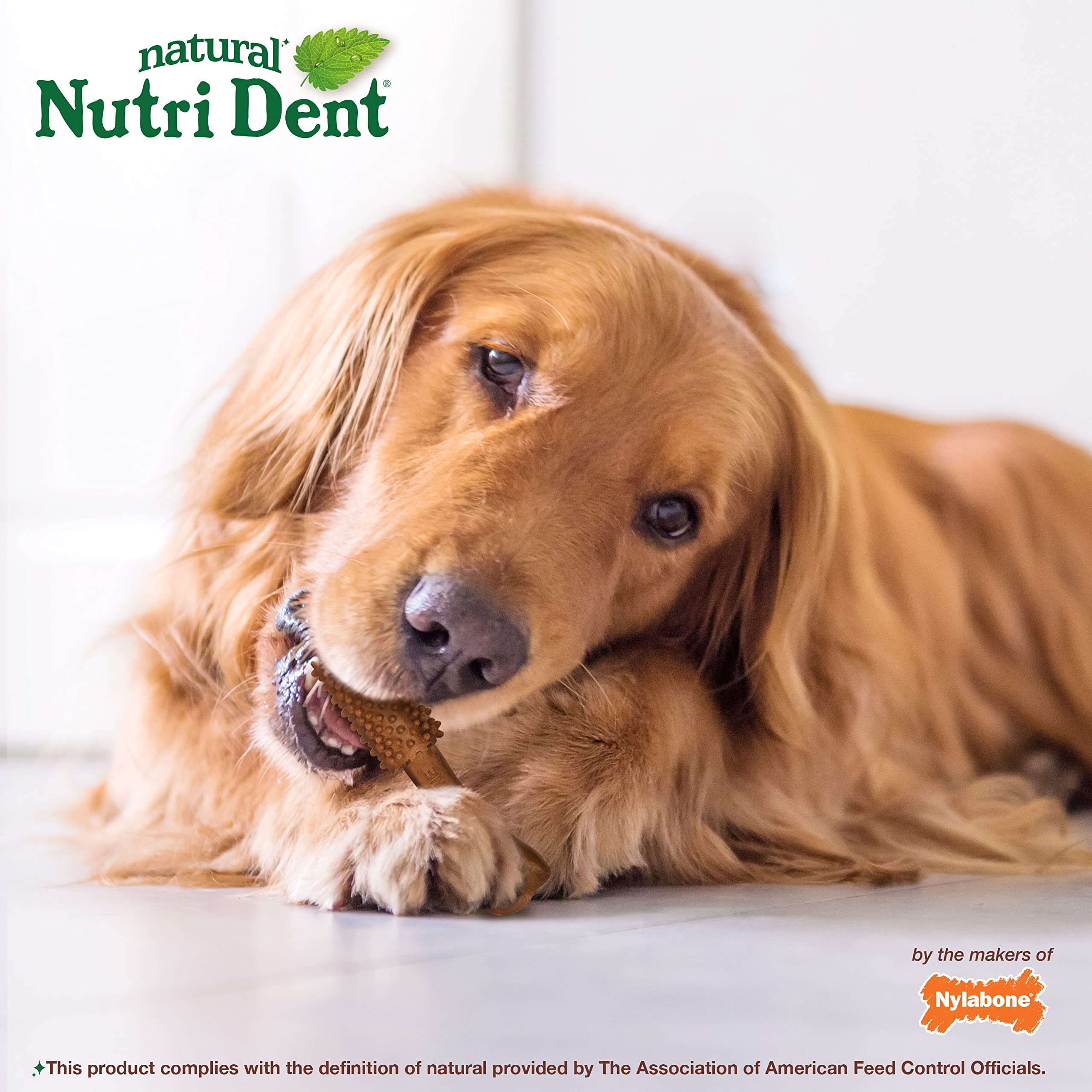 Nylabone Nutri Dent, limpieza de dientes para perros hasta 50 libras