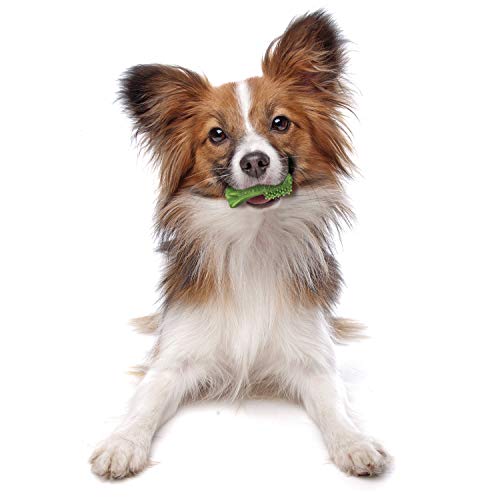 Nylabone Nutri Dent, tamaño mini para mordidas cortas.