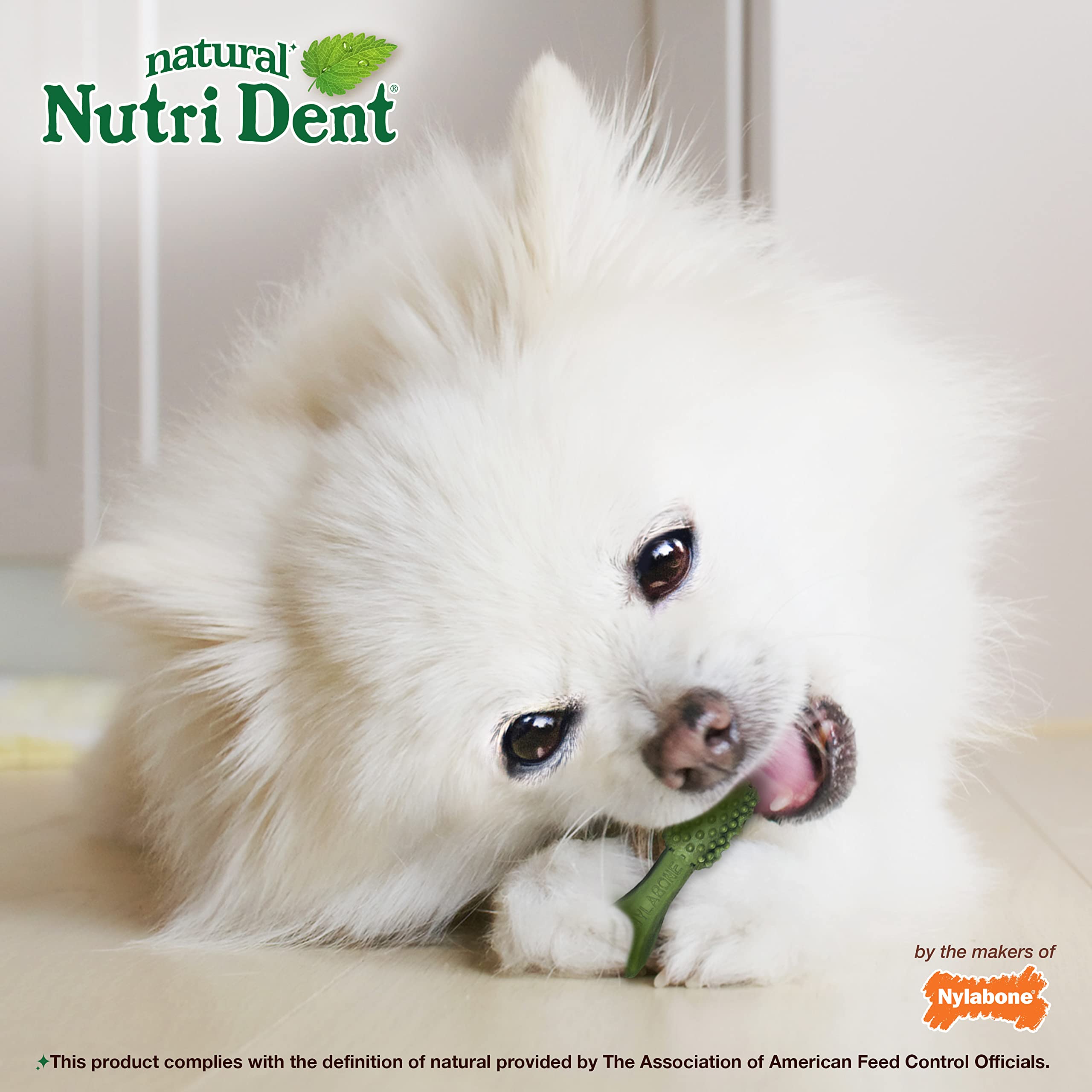Nylabone Nutri Dent hecho en Estados Unidos