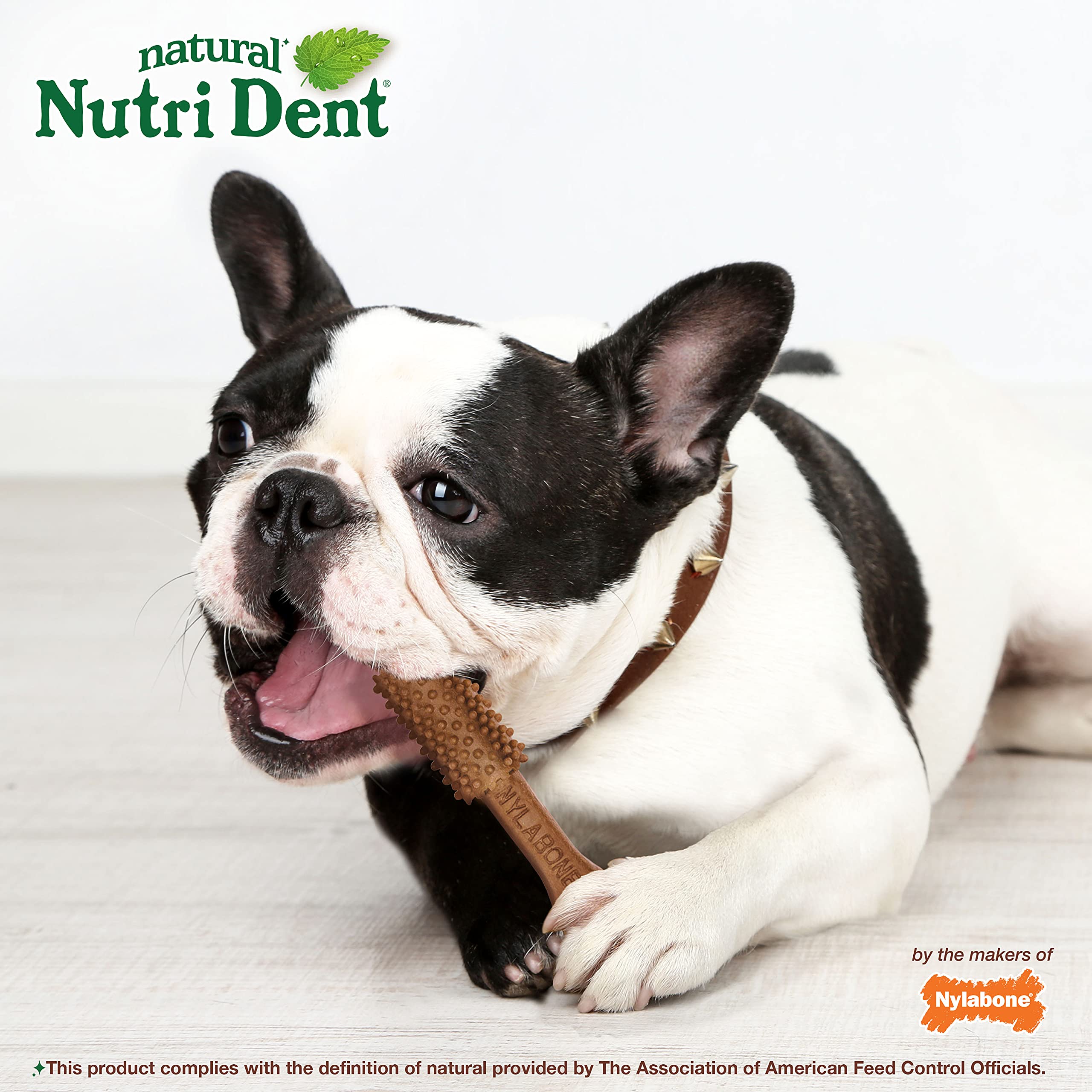 Nylabone Nutri Dent masticables dentales, enfoque en dientes, higiene bucal durante masticación.