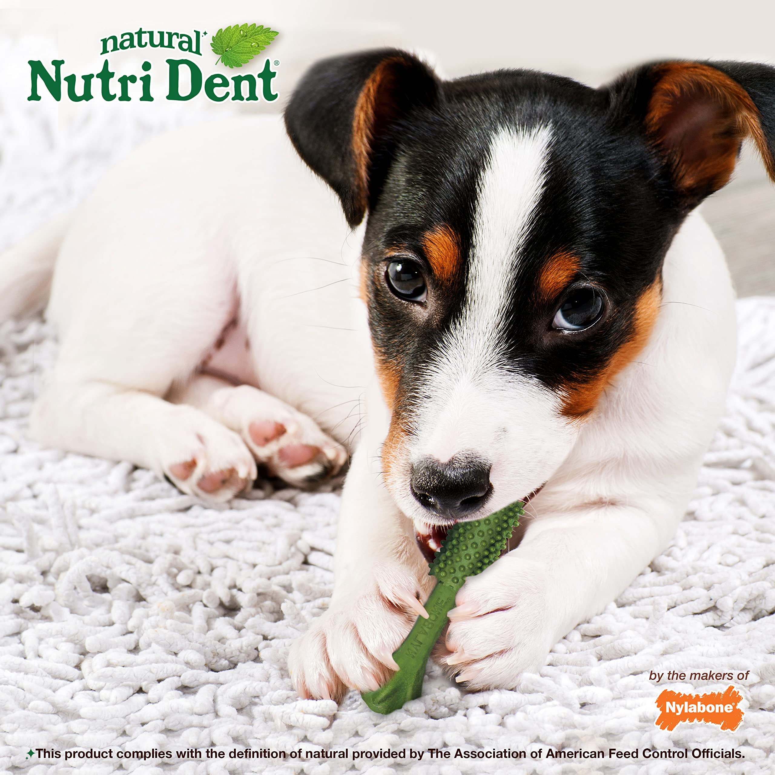 Nylabone Nutri Dent recomendado por veterinarios para salud bucal