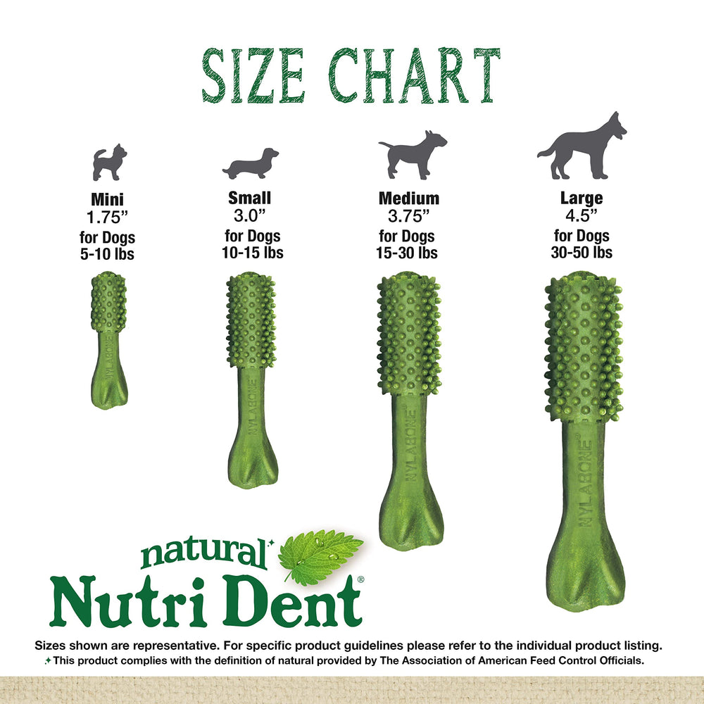 Nylabone Nutri Dent, primer plano de sabor aliento fresco para perros.
