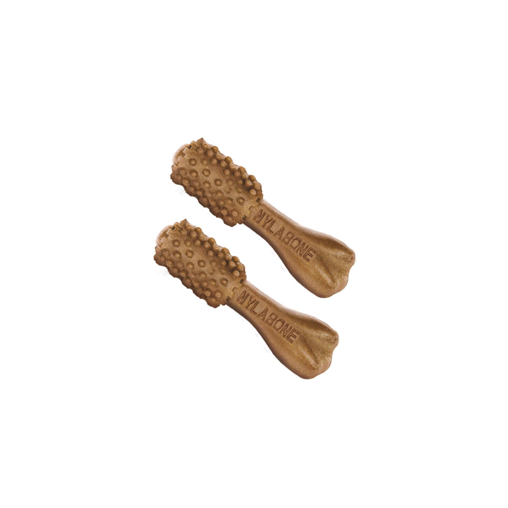 Nylabone Nutri Dent sabor filet mignon para perros exigentes.