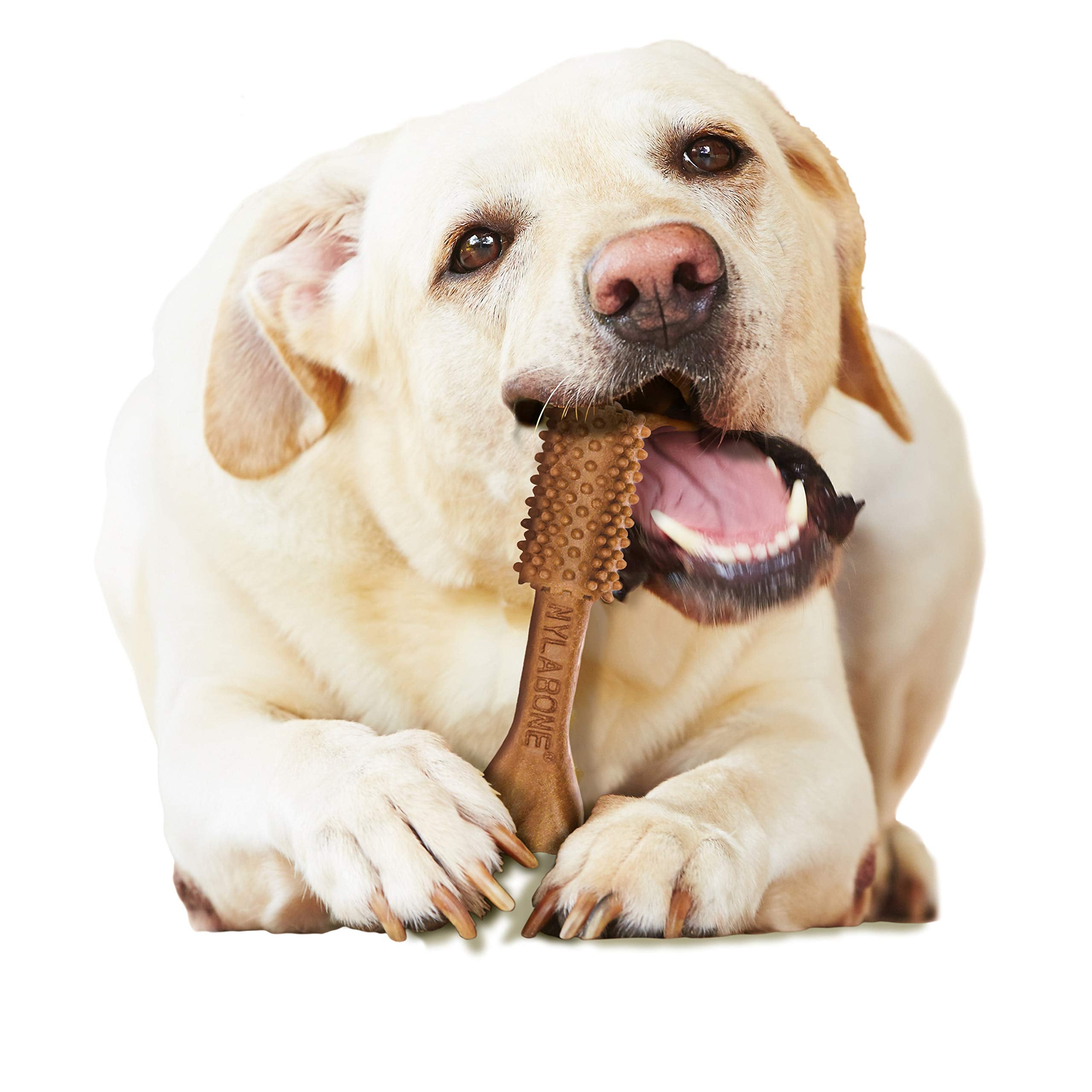 Nylabone Nutri Dent, sin colorantes artificiales ni preservantes