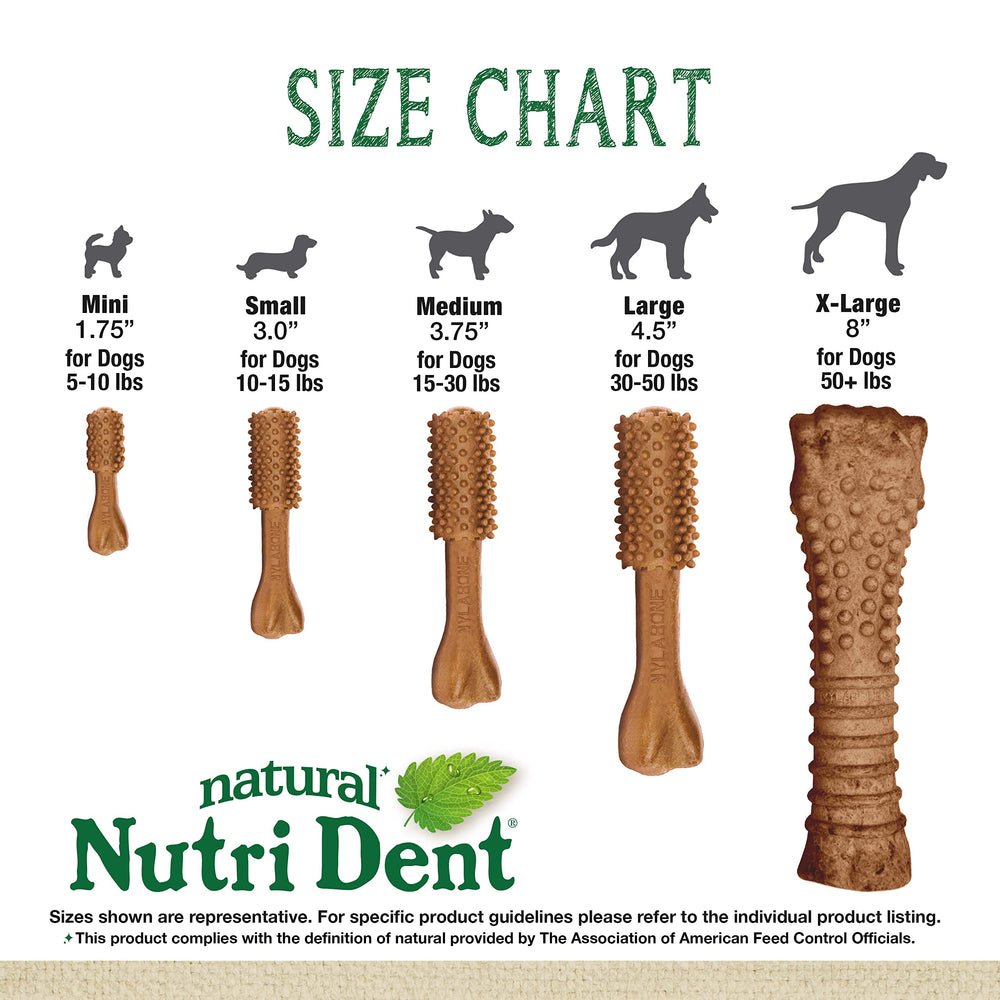 Dimensiones pequeñas de 5 cm para perros mini.