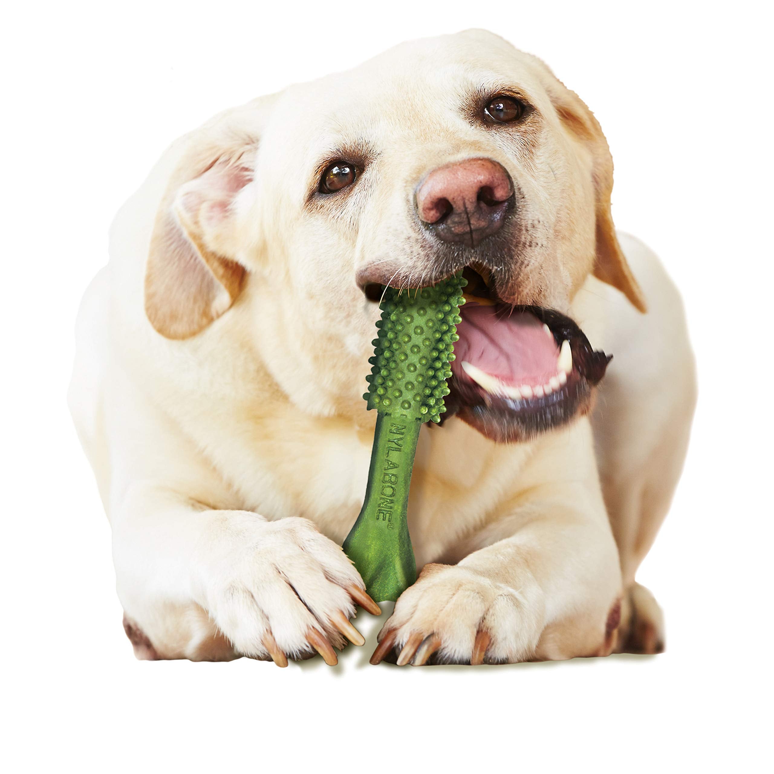 Nylabone Nutri Dent snack dental práctico para el aliento.