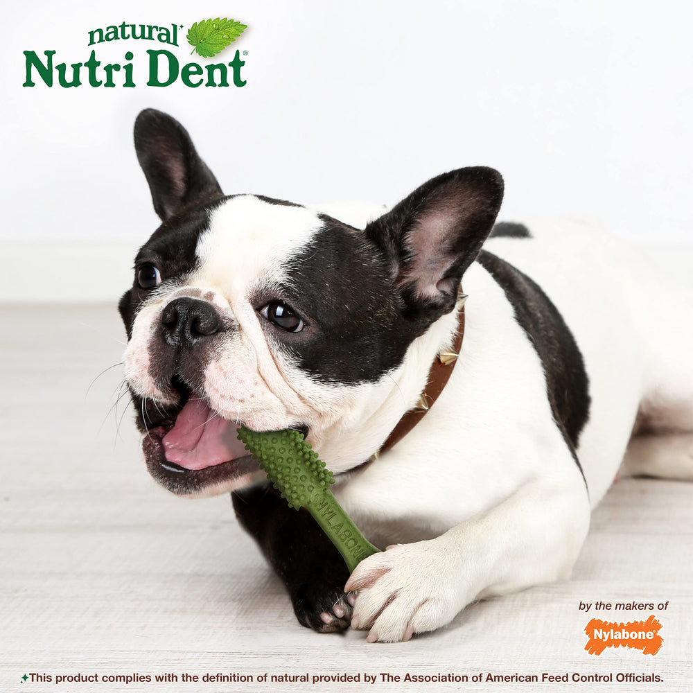 Nylabone Nutri Dent, tamaño mediano, ideal para perros de tamaño medio.
