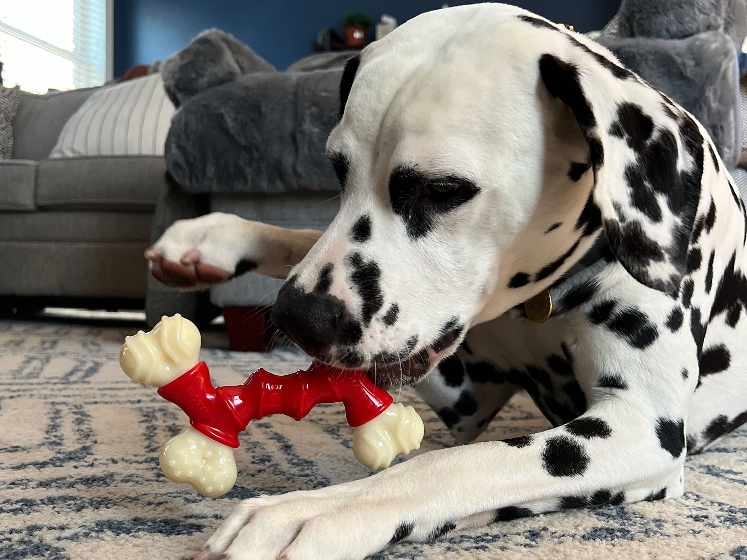 Nylon duradero de Nylabone para mordedores fuertes de perros medianos.