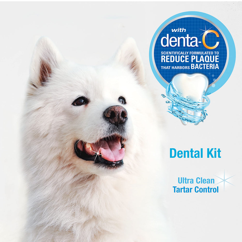 Nylabone Pasta Denta-C Original 2,5 onzas, pasta de limpieza para perros