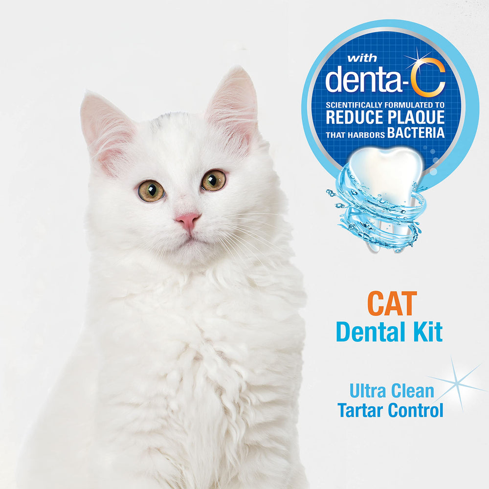 Nylabone pasta Denta-C original para gatos, tubo visible