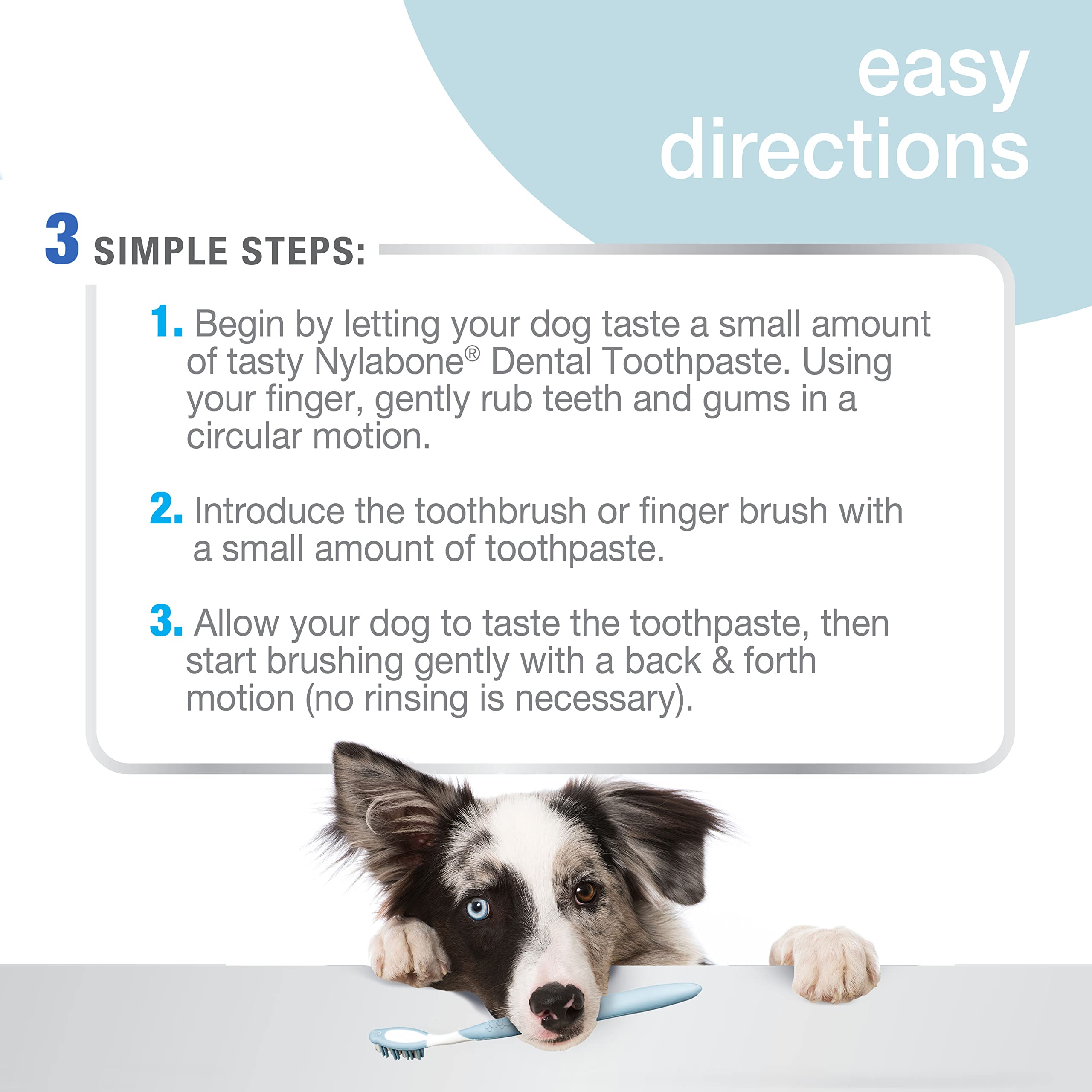 Pasta dental con Denta-C de Nylabone, fórmula para reducir la placa.