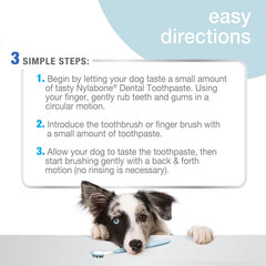 Pasta dental con Denta-C de Nylabone, fórmula para reducir la placa.