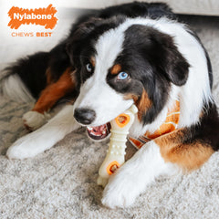Nylabone Pop-in Refill Ingredientes Limitados: opción digestible para perros activos
