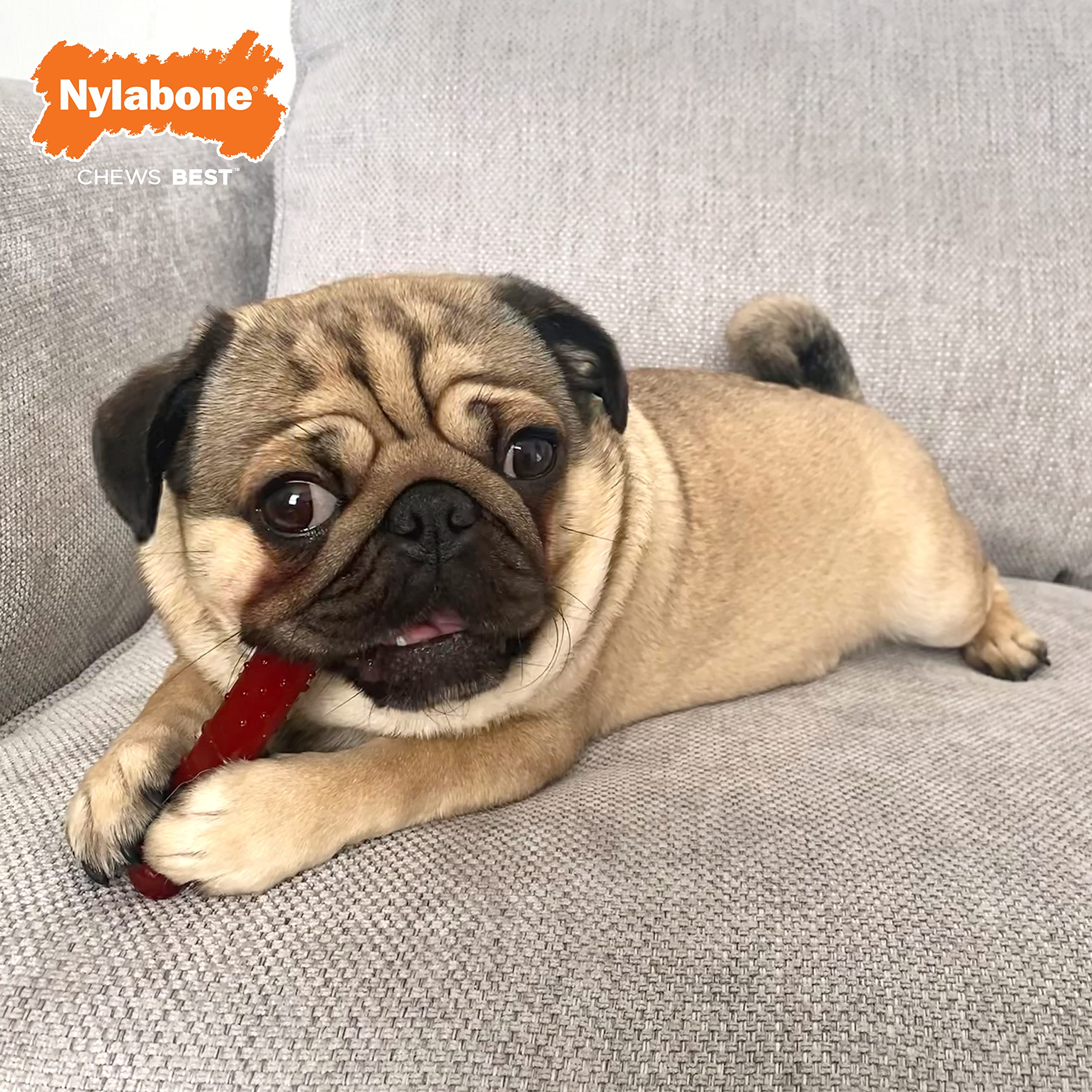 Nylabone Power Chew doble sabor bacon y steak, experiencia sabrosa.