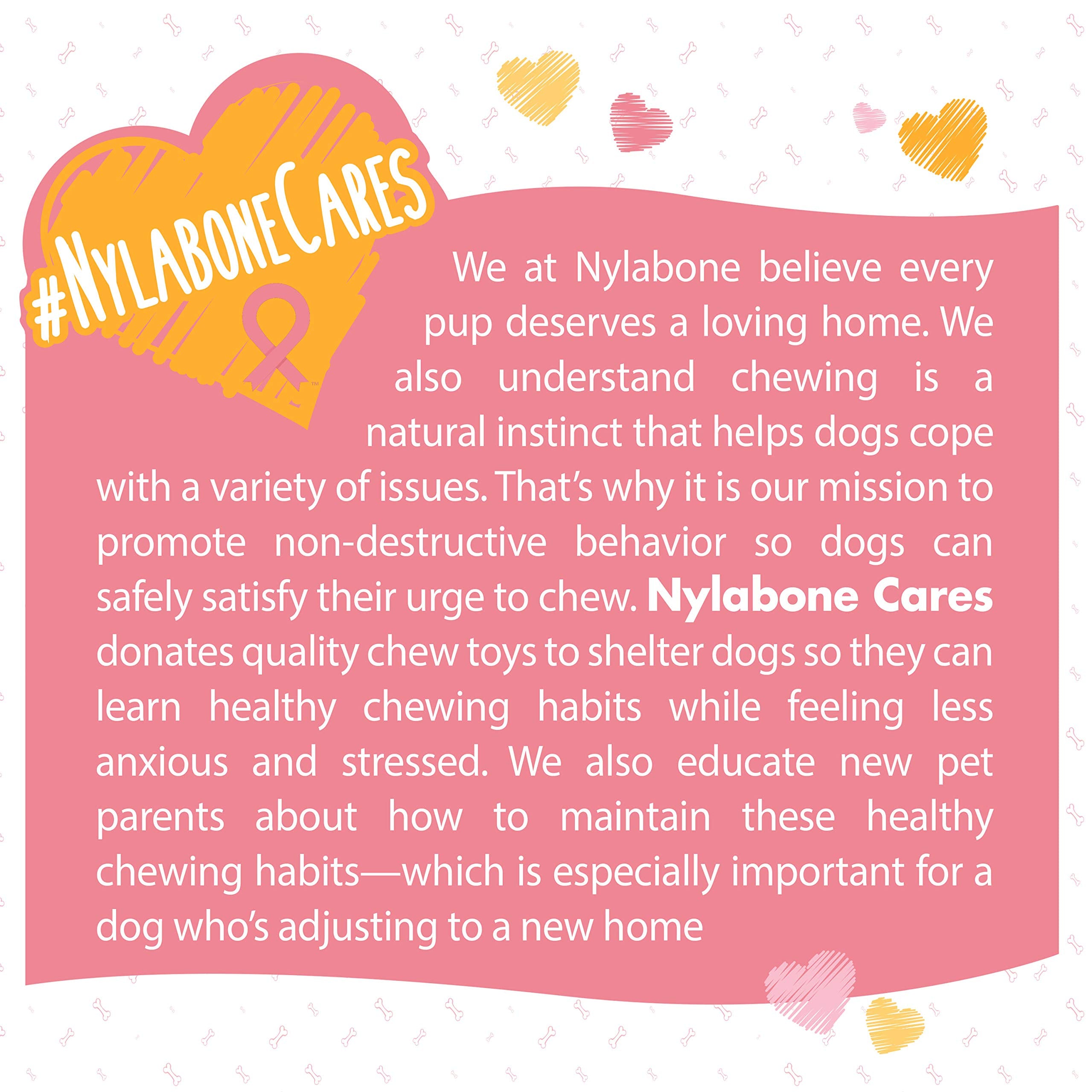 Nylabone Power Chew donación para la concienciación del cáncer de mama.