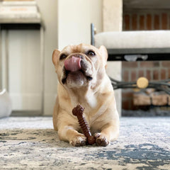 Nylabone Power Chew hueso duro para perros pequeños, resistente a mordidas intensas