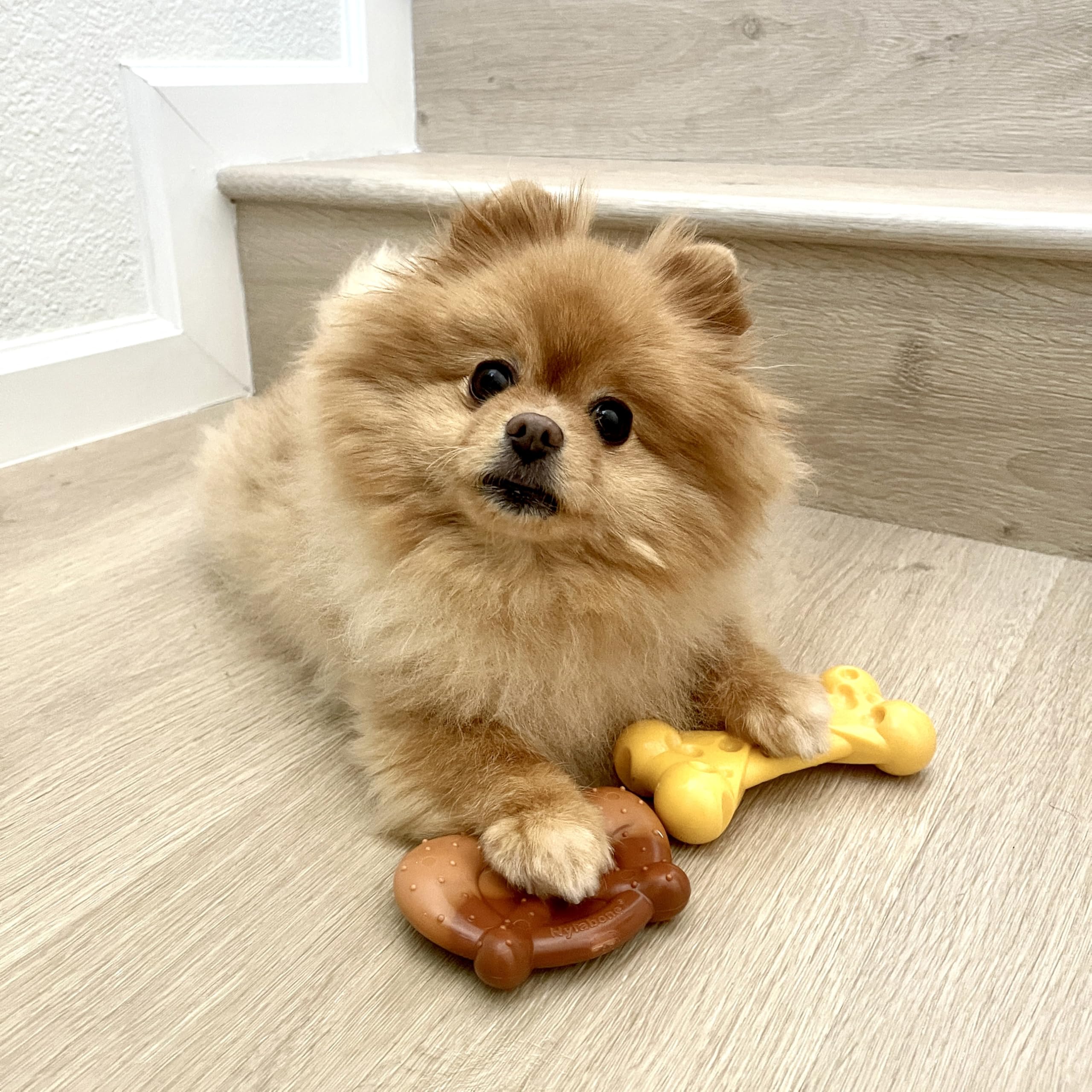 Nylabone Power Chew: hueso de queso lamido para masticar con sabor.