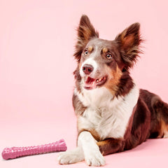 Nylabone Power Chew sabor pollo para perros grandes.