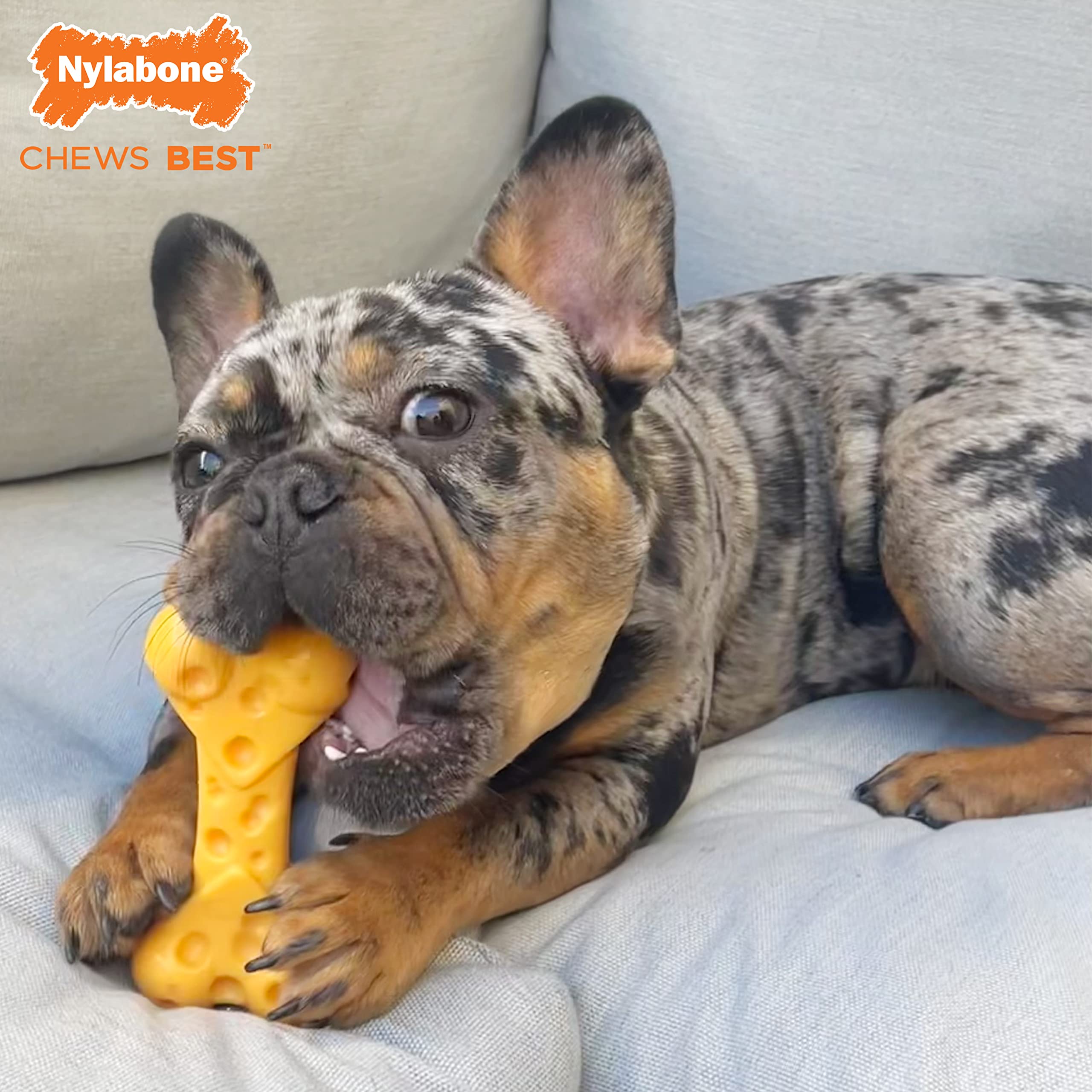 Nylabone Power Chew: texturas y ranuras para limpieza ligera al masticar.