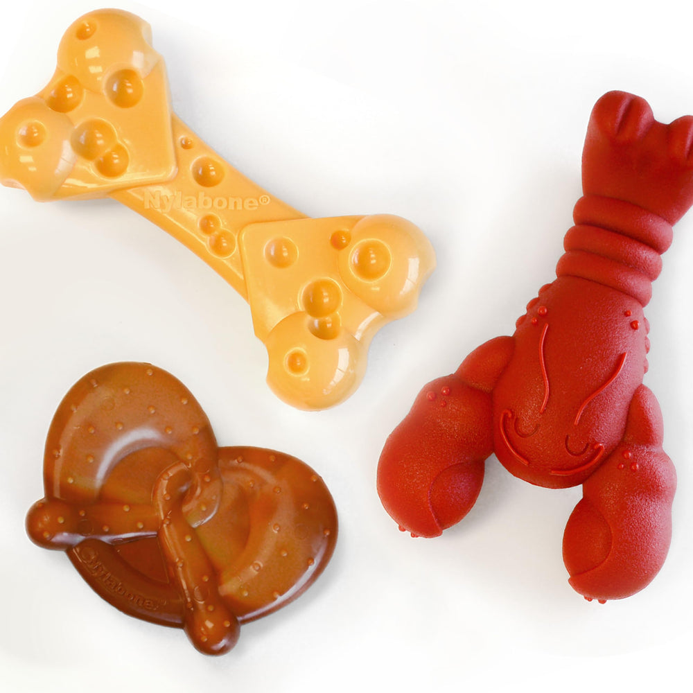 Nylabone Power Chew: tres formas divertidas para masticar y entretener a tu perro.