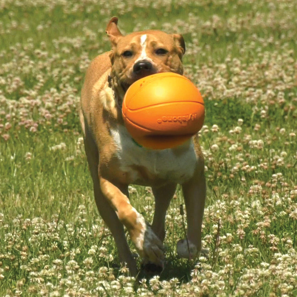 Nylabone Power Play Gripz dimensiones seis-punto-cinco-pulgadas, tamaño ideal para perros grandes.
